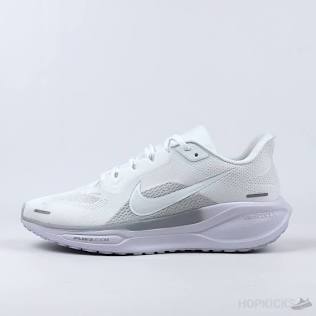 Nike Air Zoom Pegasus 41